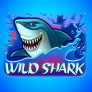 Wild Shark Logo