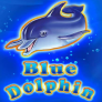 Blue Dolphin Logo
