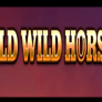 Wild Wild Horses Logo