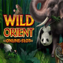 Wild Orient Logo