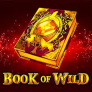 Book of Wild Logo