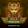 Nile Fortune Logo