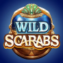 Wild Scarabs Logo