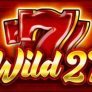 Wild 27 Logo