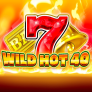 Wild Hot 40 Logo