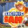 Electric Sam Logo