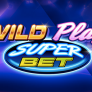 Wild Play Logo