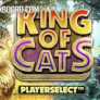 King of Cats Logo