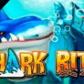 Shark Bite Logo