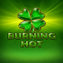 Burning Hot Logo