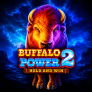 Buffalo Power 2 Hold and Win Logo