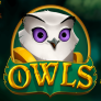 Owls Logo