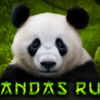 Pandas Run Logo