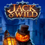 Jack O'Wild Logo