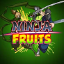 Ninja Fruits Logo