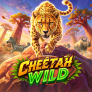 Cheetah Wild Logo