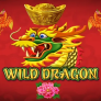 Wild Dragon Logo