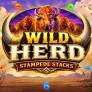 Wild Herd Stampede Stacks Logo