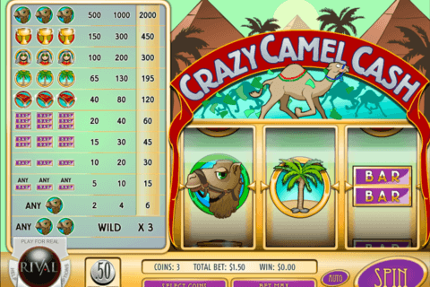 crazy camel cash rival 