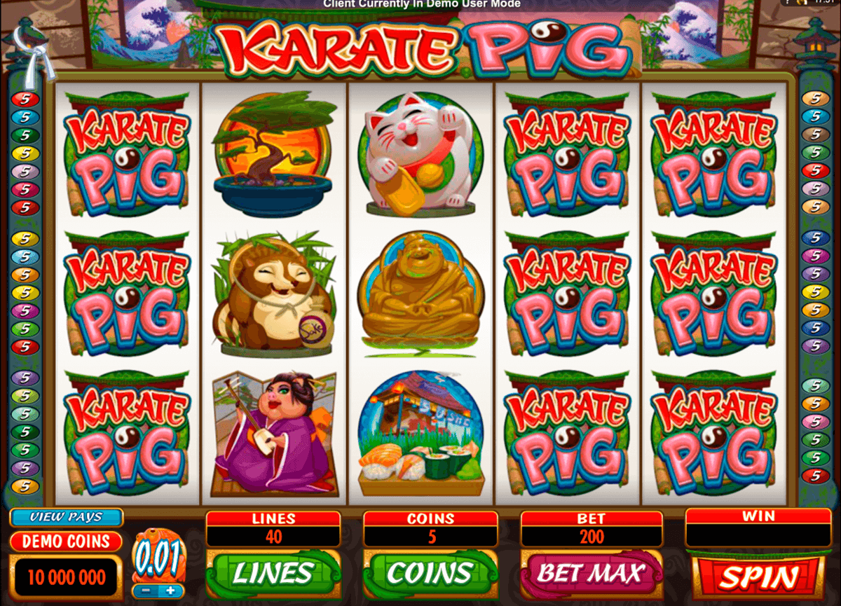 karate pig microgaming online spielen 