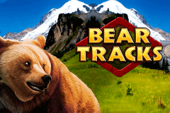logo bear tracks novomatic casino spielautomat