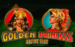 logo golden princess microgaming casino spielautomat 
