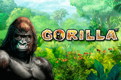logo gorilla novomatic casino spielautomat 