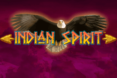 logo indian spirit novomatic casino spielautomat 