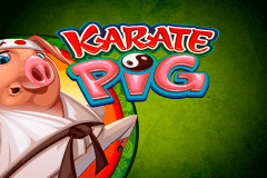 logo karate pig microgaming casino spielautomat 