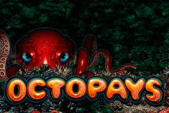logo octopays microgaming casino spielautomat