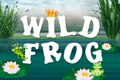 logo wild frog merkur casino spielautomat 
