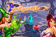 logo wild witches netent casino spielautomat 
