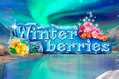 logo winterberries yggdrasil casino spielautomat 