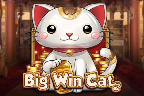 logo big win cat playn go 