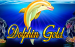 logo dolphin gold lightning box 1 