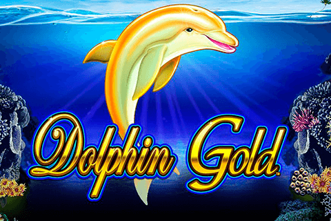 logo dolphin gold lightning box