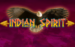 logo indian spirit novomatic 