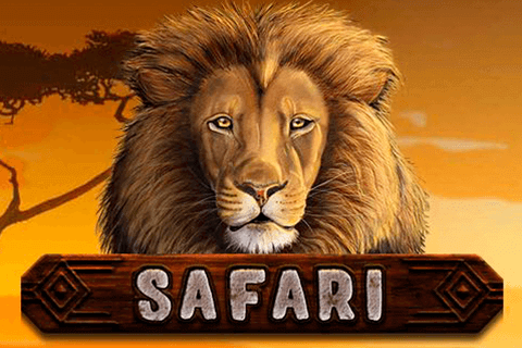 logo safari endorphina 