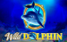 logo wild dolphin gameart 1 