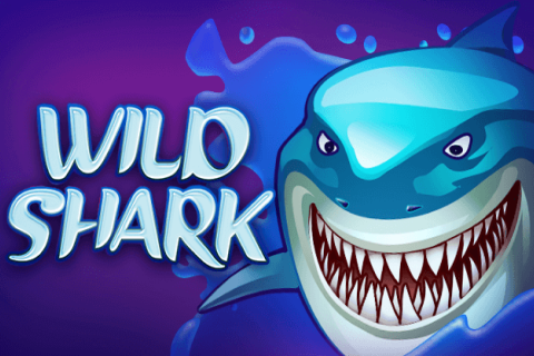 logo wild shark amatic 