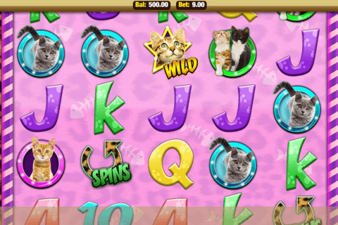 Video slot Casinomeister Video slot Casinomeister