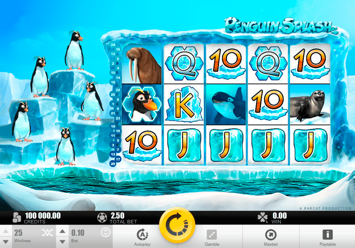 penguin splash rabcat 