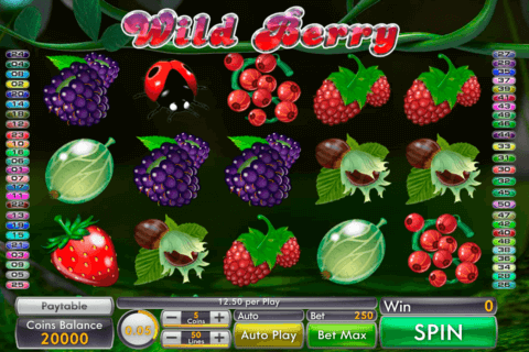 wild berry genii 