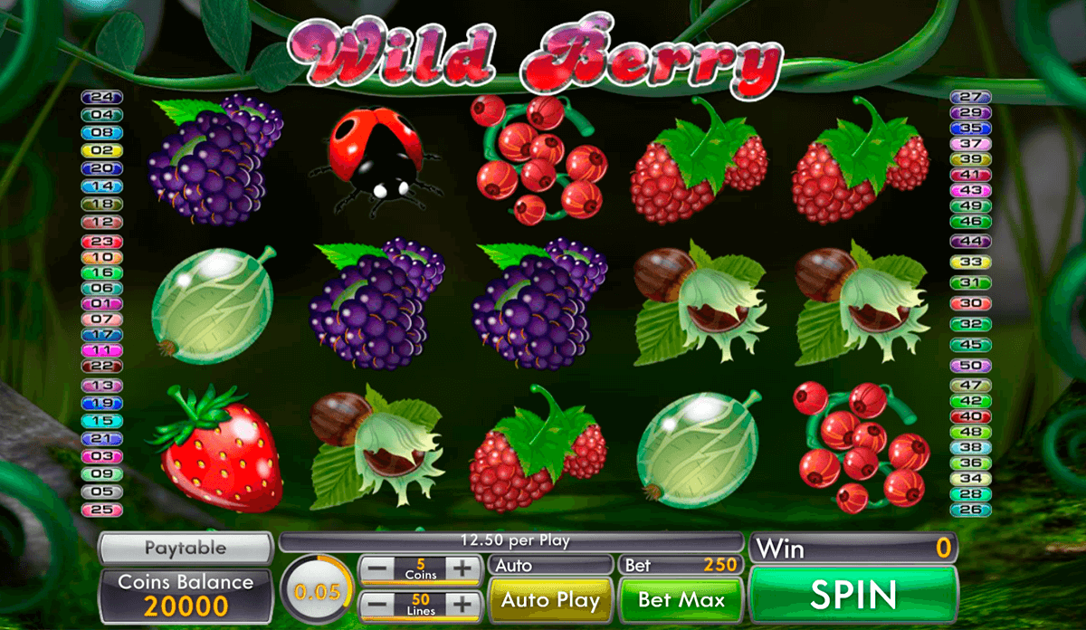 wild berry genii 